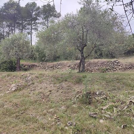 Auberge Des Esperels Rez De Maison Avec Jardin Figanières Dış mekan fotoğraf