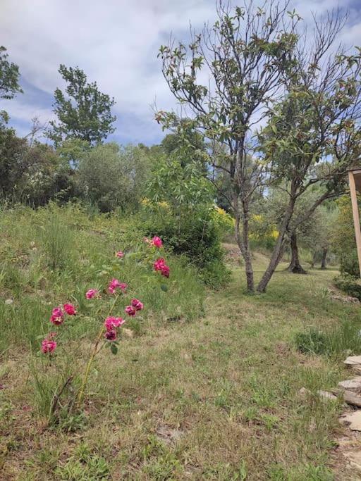 Auberge Des Esperels Rez De Maison Avec Jardin Figanières Dış mekan fotoğraf